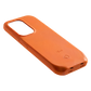 case.png