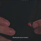 0417.mp4